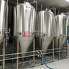 500L1000L Stainless Steel Fermentation Tank Beer Fermenting Equipment Turnkey Project for Sale