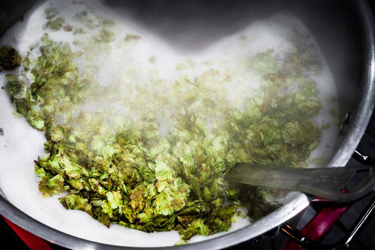 The difference between aroma hops and bitter hops