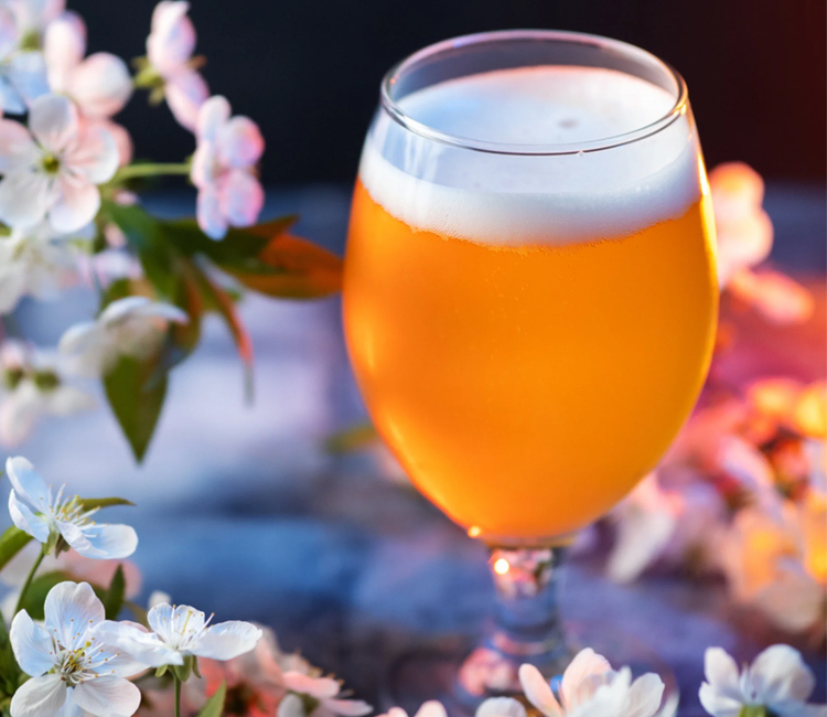 Using Flowers in Beer Brewing Recipes