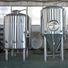 200L 300L 500L 1000L Craft Micro Brewery Brewhouse Automated Eletric Home Brewing System 