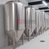 300L Beer Brewery Equipment Craft Brewhouse Brewing System Conical Fermenter for Sale