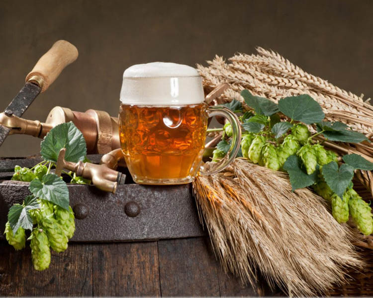 Brewing Efficiency of Brewery
