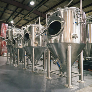 10HL 20HL 30HL Stainless Steel 304 Conical Vertical Beer Fermentation Tank Isobaric Unitank for Sale