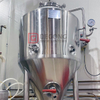 200L 300L 500L Beer Conical Fermenter Beer Fermentation Tank for Small Brewhouse 