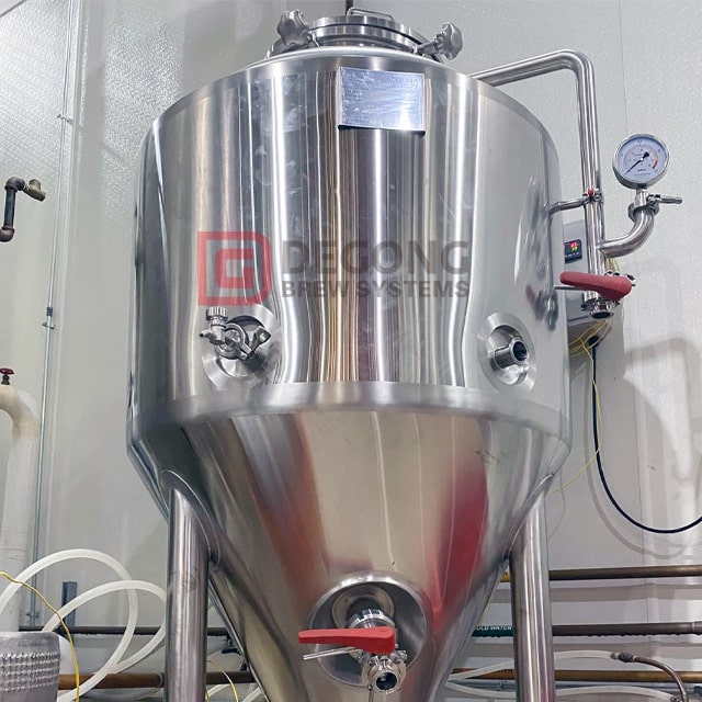 200L 300L 500L Beer Conical Fermenter Beer Fermentation Tank for Small Brewhouse 