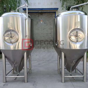 Stainless Steel Conical Fermenter 1000litre Fermentation Tank at Any Time Delivery 
