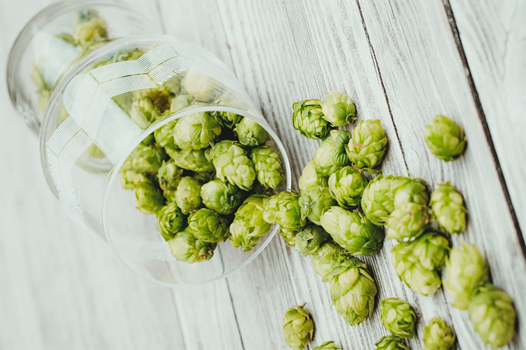  What is the difference between beer Aroma hop and Bitter hop?