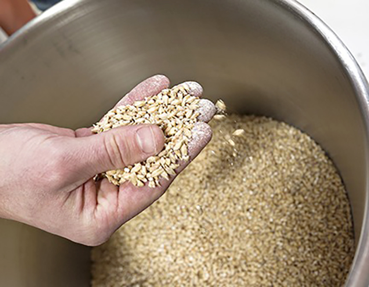 What are the consequences of the dissolution state and degree of grind of the malt on the production?