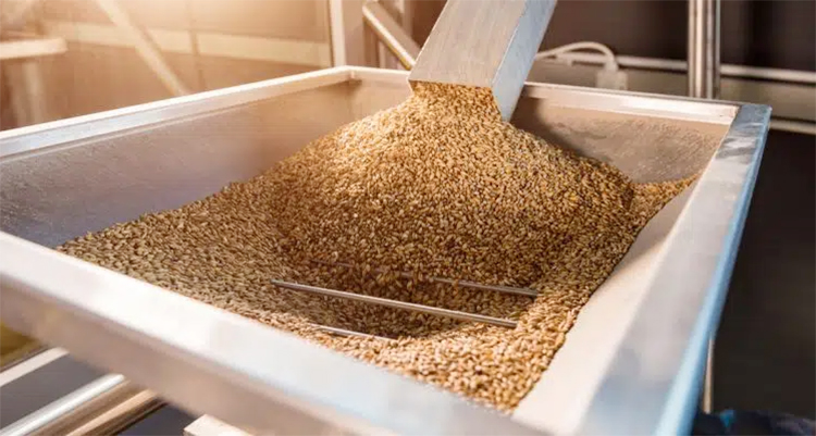 What factors affect the decomposition of starch during beer brewing?