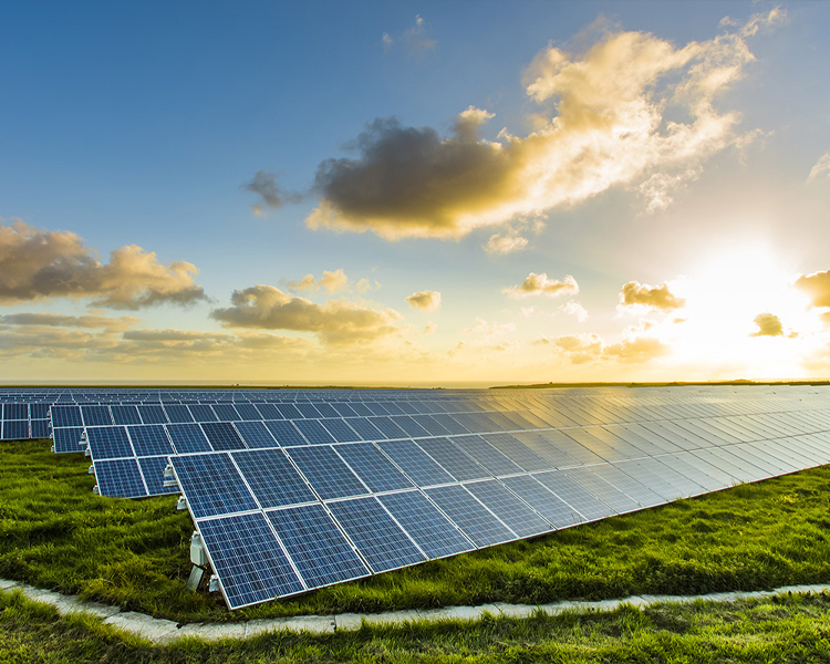 How Can Breweries Harness Solar Energy?