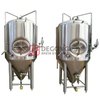 1000L Commercial Beer Brewing Fermenter for Restaurant Use